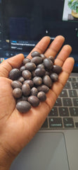 Bonsai lotus flower seeds