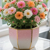 Double Moss Rose seeds + 100 grams Organic potmix Free